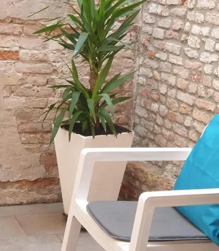 With Private Courtyard Venecia